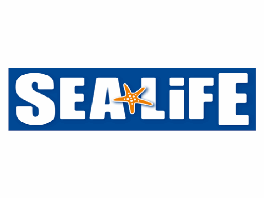 sea life